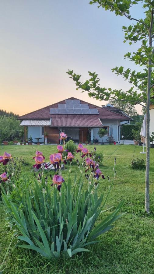 Northwest Studio Apartments Клагенфурт Екстериор снимка
